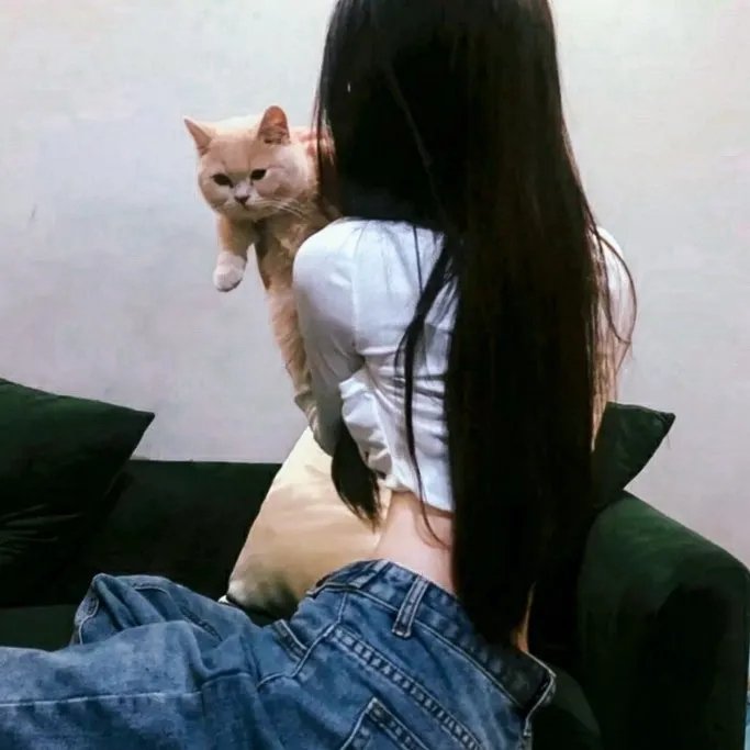喜剧综艺
